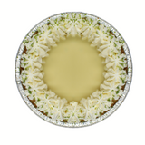 Key Lime Pie